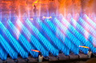 Buckholt gas fired boilers